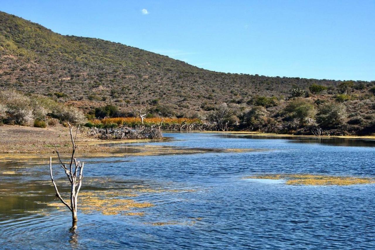 Lodge Trumpetters Drift Game Farm Grahamstown
