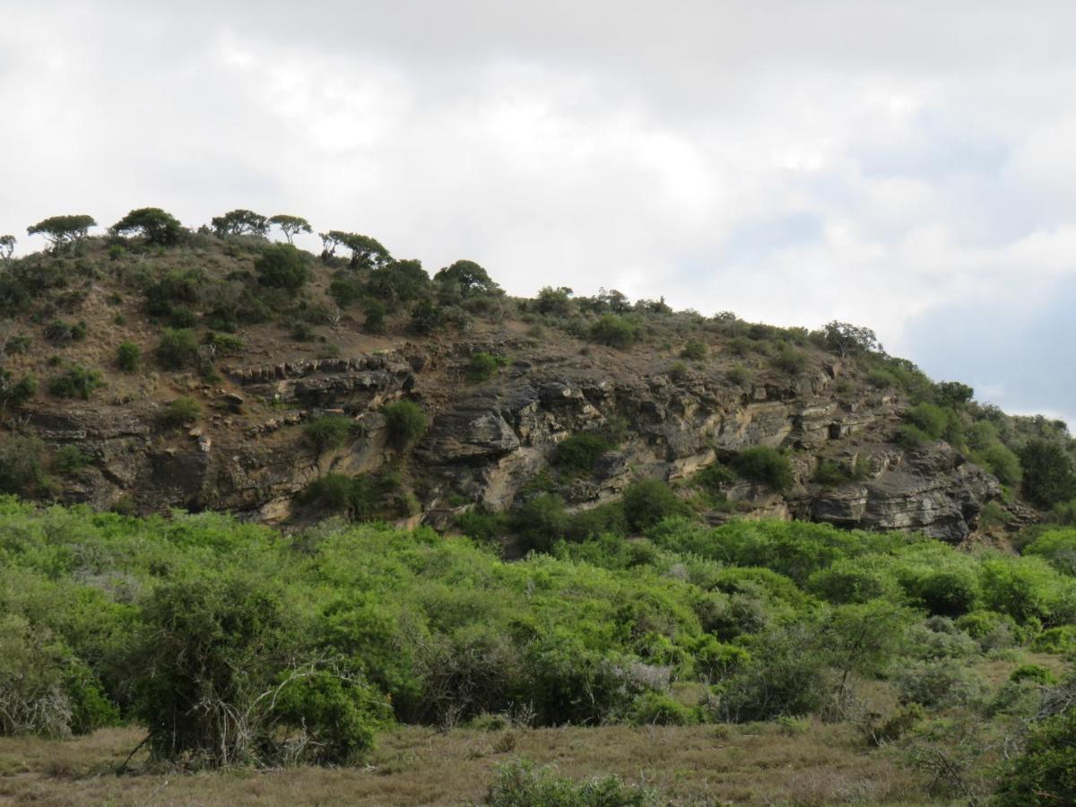 Lodge Trumpetters Drift Game Farm Grahamstown